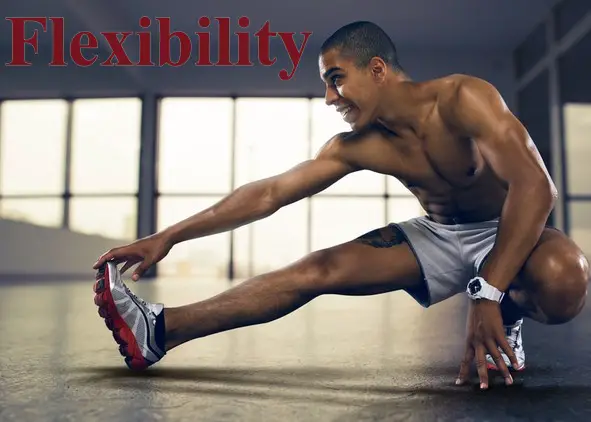 Gradual Rehabilitation and Flexibility Exercises