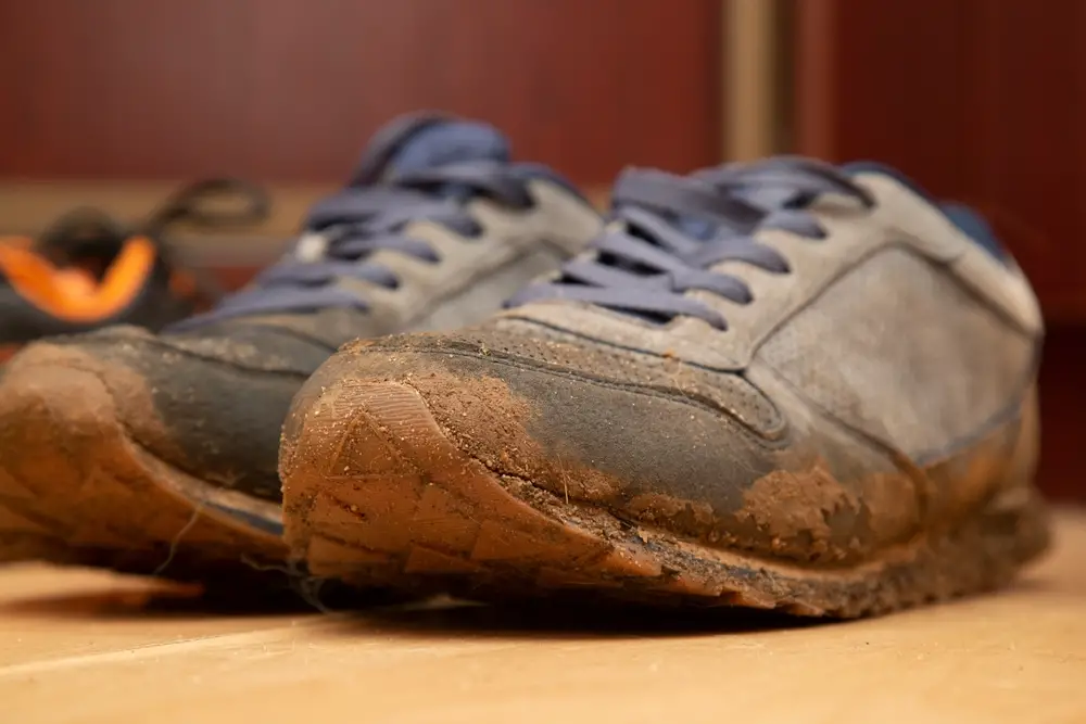How To Clean Mud Off Fabric Shoes Easy Steps